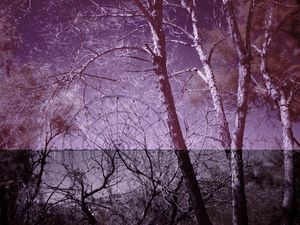 COISAS LUMINOSAS Nº 13