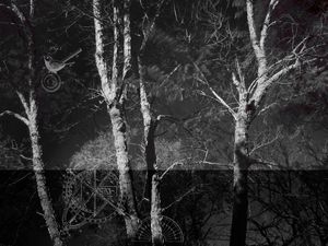 COISAS LUMINOSAS Nº 14