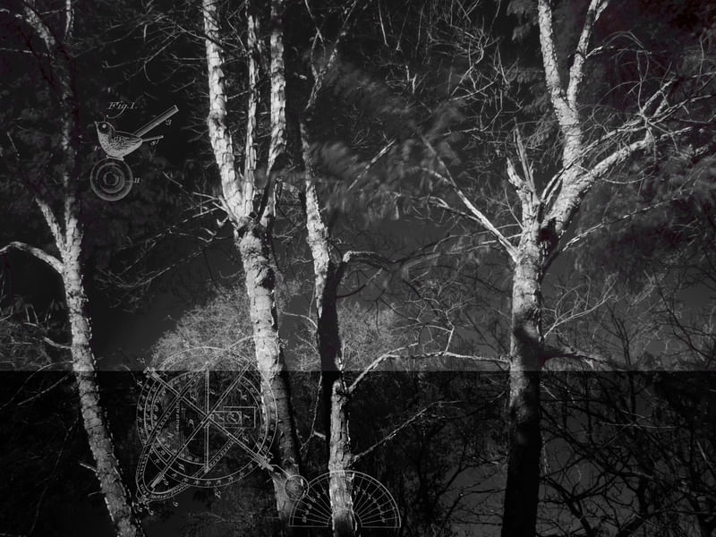 COISAS LUMINOSAS Nº 14