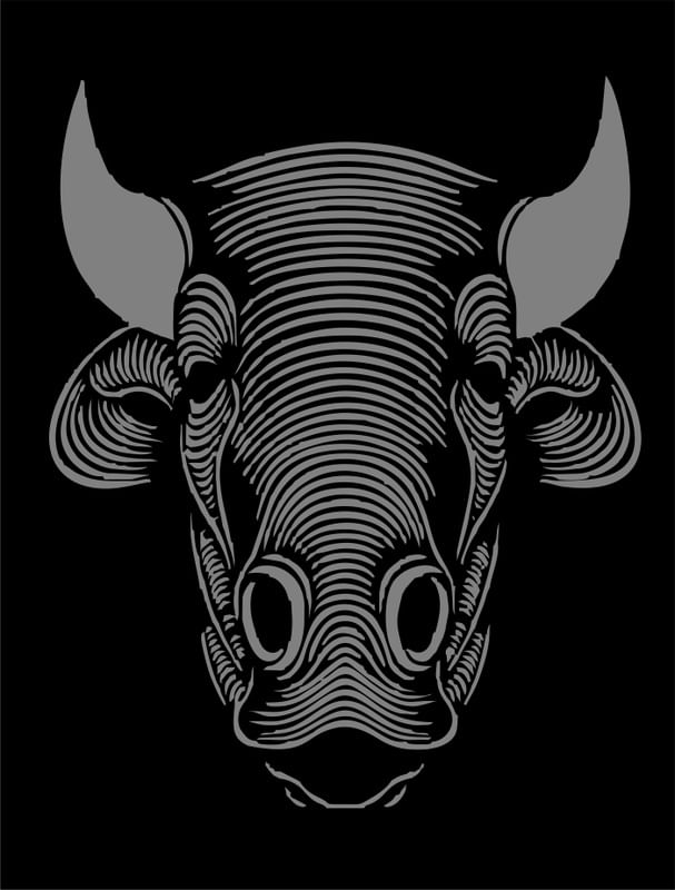 BULLS