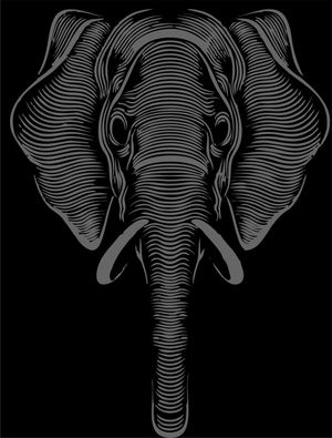 ELEPHANTE