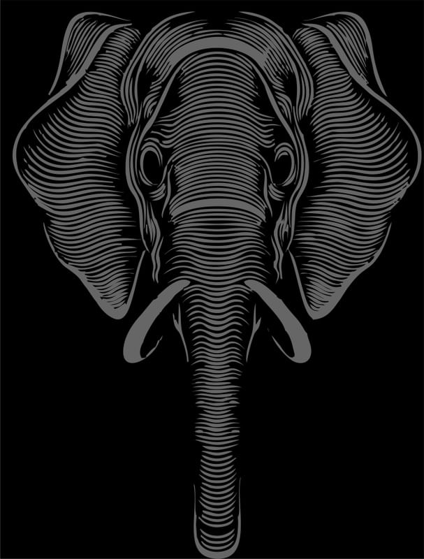 ELEPHANTE