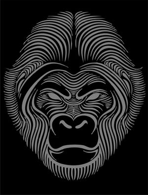 GORILLA GORILLA