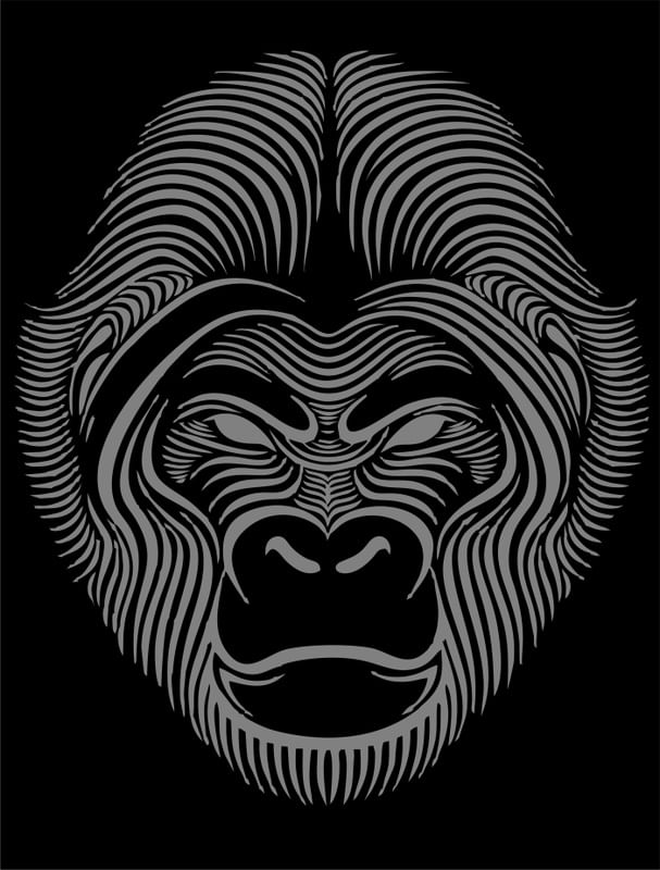 GORILLA GORILLA