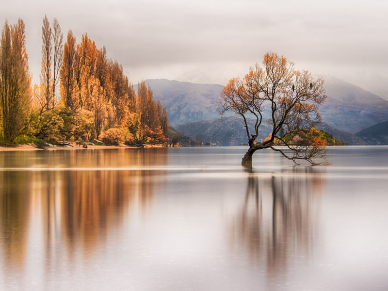 WANAKA