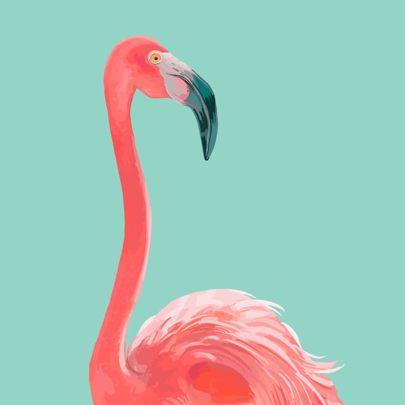 FLAMINGO IN THE SKY