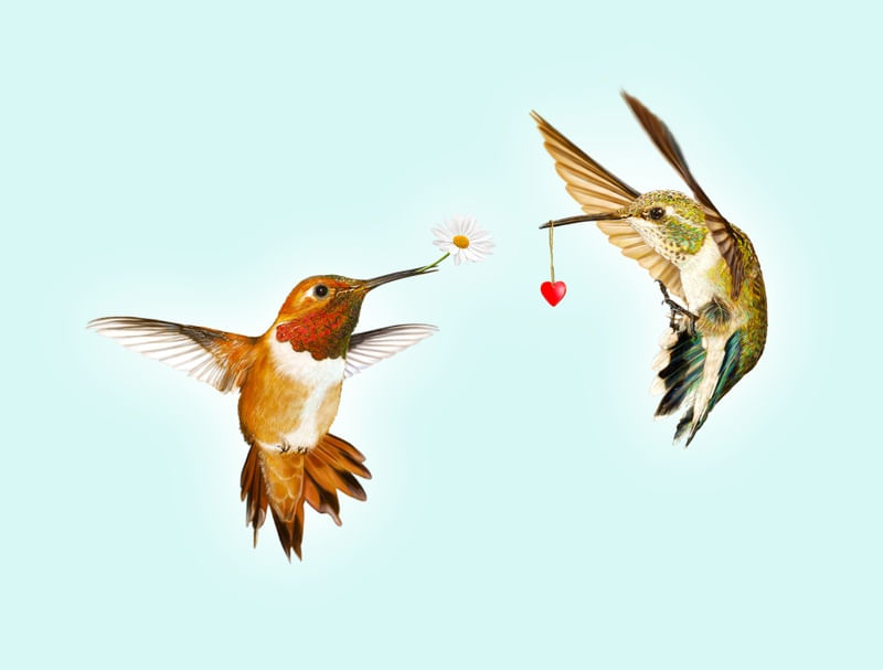 HUMMING TOGETHER