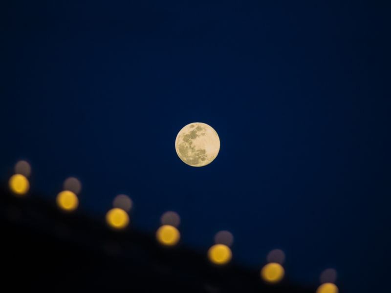 ALTA LUA