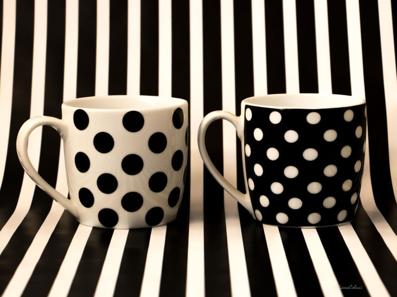 CANECAS II