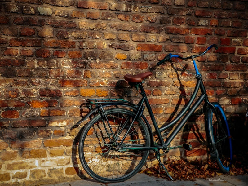 BIKE -AMSTERDAN