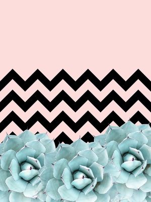 CACTOS E CHEVRON
