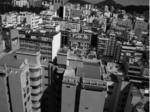 SELVA DE PEDRA I