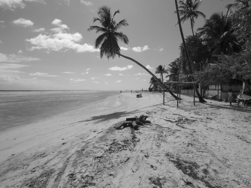 ILHA TROPICAL