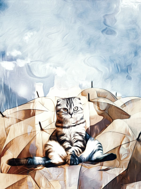 CHILLING OUT TAS
