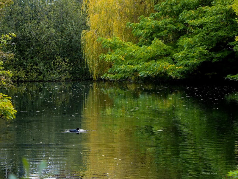 O LAGO VERDE