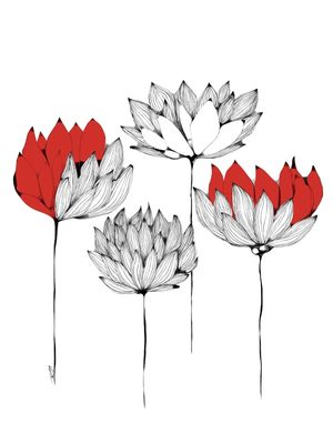 FLORES VERMELHAS