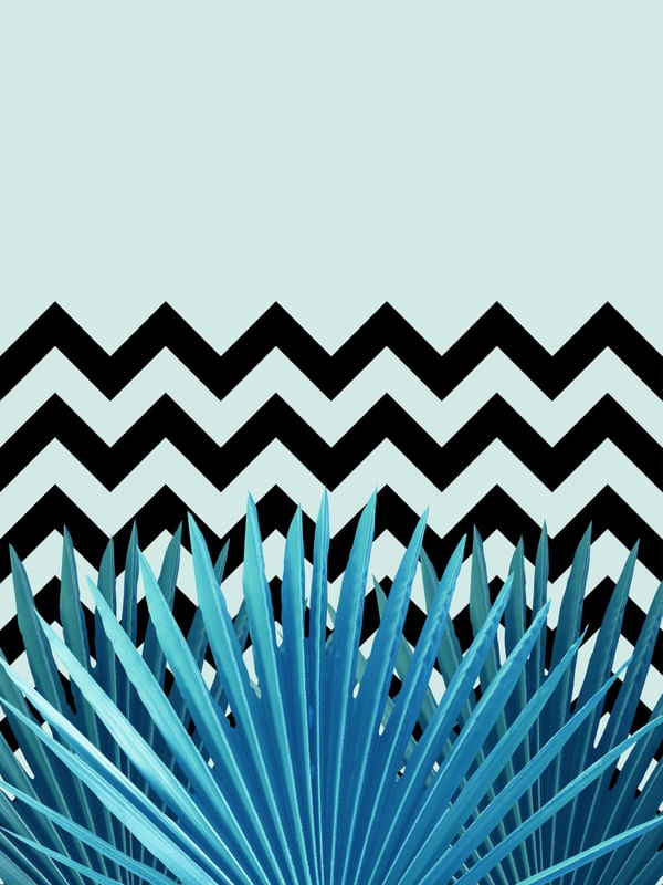 FOLHAS E CHEVRON I