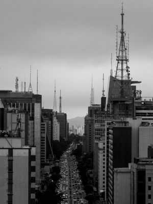 A SELVA DE CONCRETO