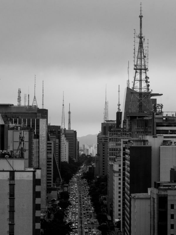 A SELVA DE CONCRETO