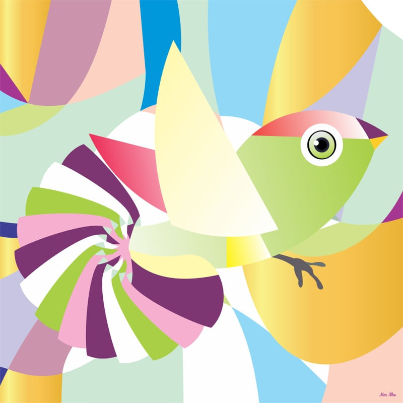 BIRD 3 - AADCREATIVE