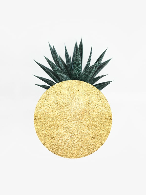 CACTOS E OURO II