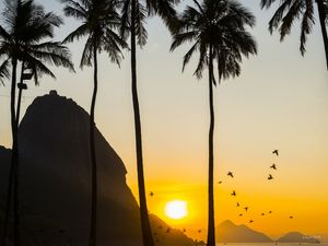 AMANHECER COM REVOADA, PRAIA VERMELHA, RIO DE JANEIRO.