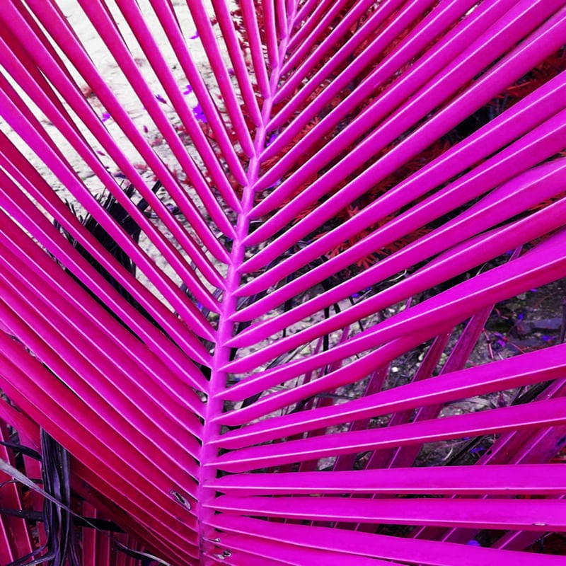 NATUREZA ROSA 01 ARTISTA GLORIA RIMES