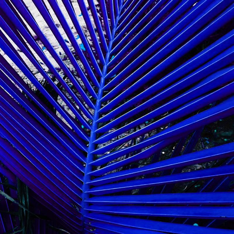NATUREZA 02 AZUL ARTISTA GLORIA RIMES