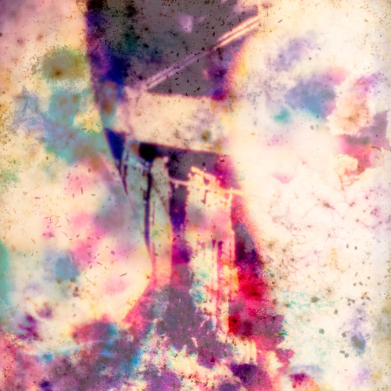BIO-ART-XVII