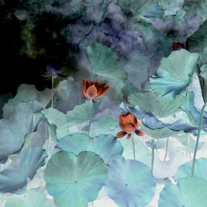 CIANO FLOWERS 4