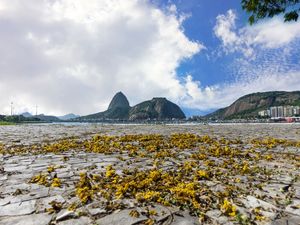 OUTONO NO RIO
