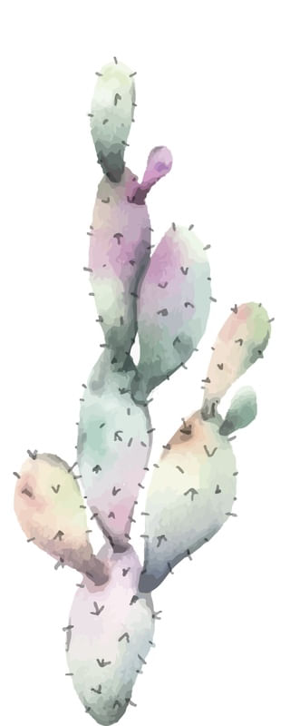 CACTO GIGANTE