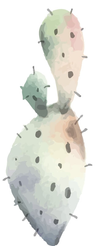CACTO AQUARELADO
