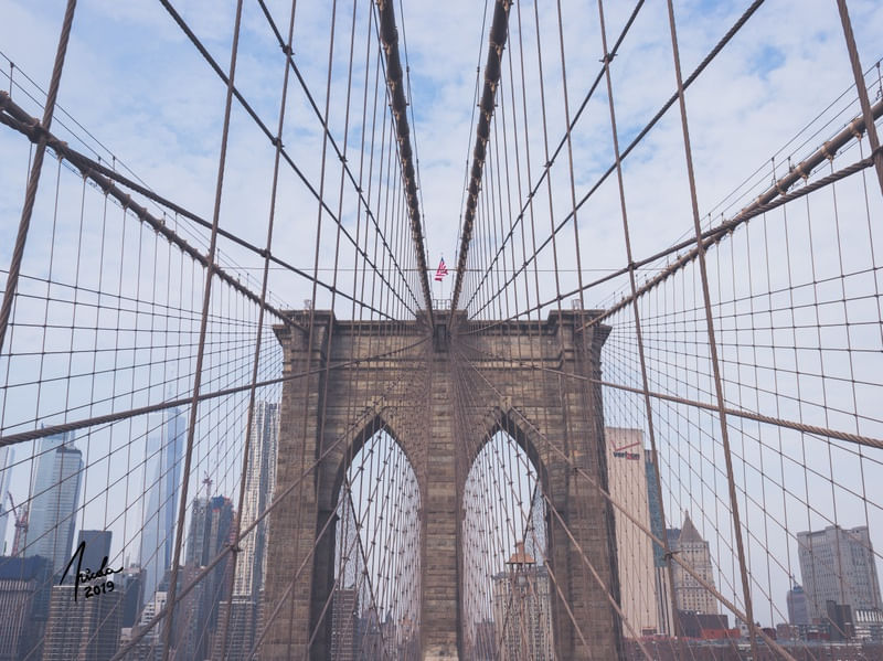 BROOKLYN BRIDGE MIST