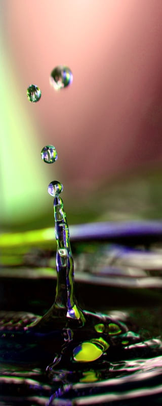 GOTA_III