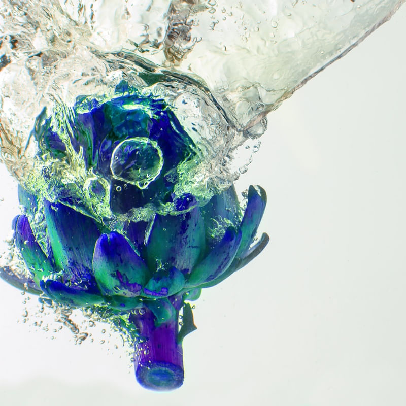 ALCACHOFRA AZUL