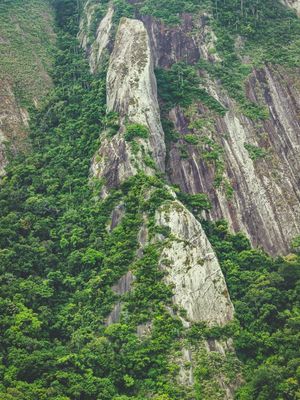 AGULHA GUARISCHI EM ITACOATIARA