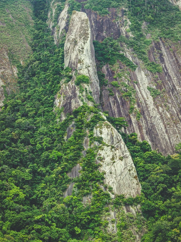 AGULHA GUARISCHI EM ITACOATIARA