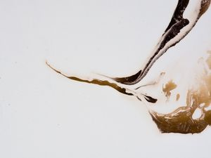 COFFEE ON INK