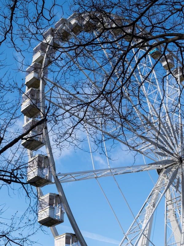 BUDA WHEEL