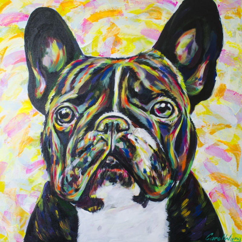 BULLDOG FRANCES COLORIDO