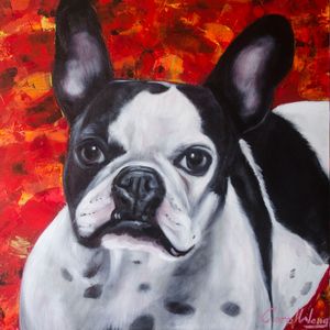 BULLDOG FRANCES - CAROL WANG