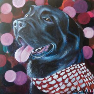 LABRADOR PRETO