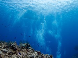 PROFUNDO EM COZUMEL