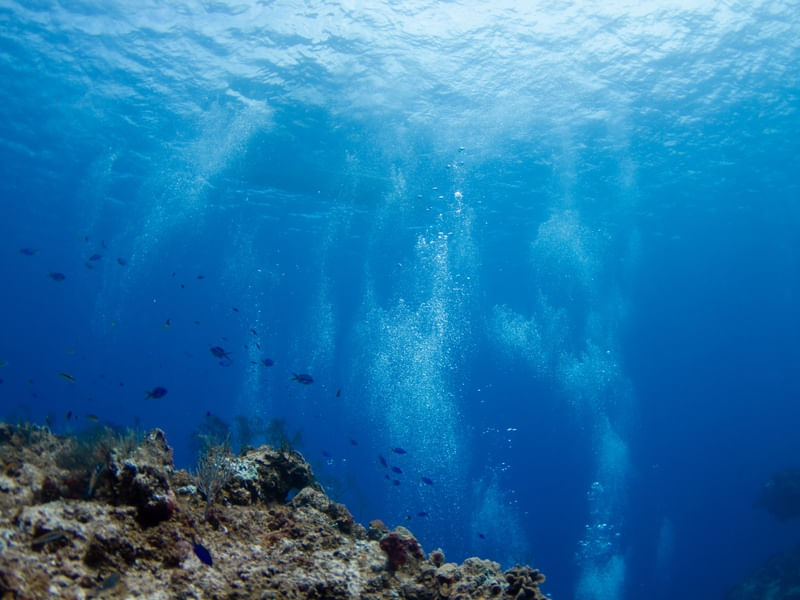 PROFUNDO EM COZUMEL