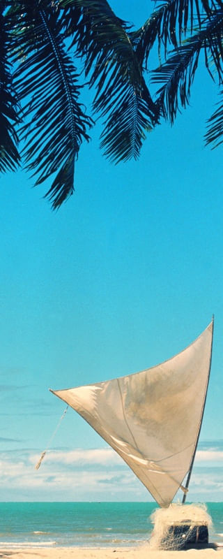 A JANGADA PV
