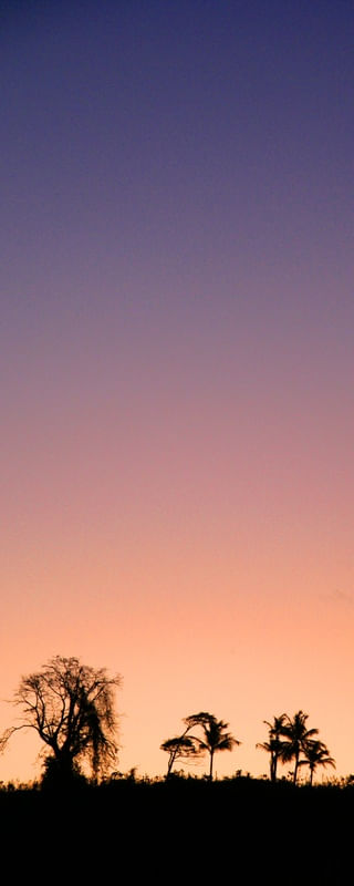 ENTARDECER PV3