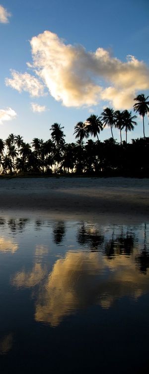 PRAIA DO FRANCÊS PV2