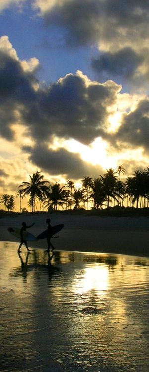 PRAIA DO FRANCÊS PV3