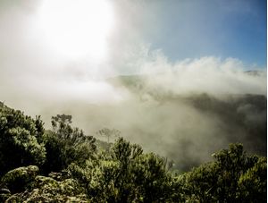 NEVOA E SOL NA MONTANHA